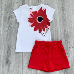 Conjunto short flor